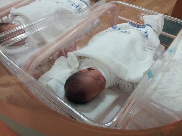 sowwwww-newborn-baby-2067983_640